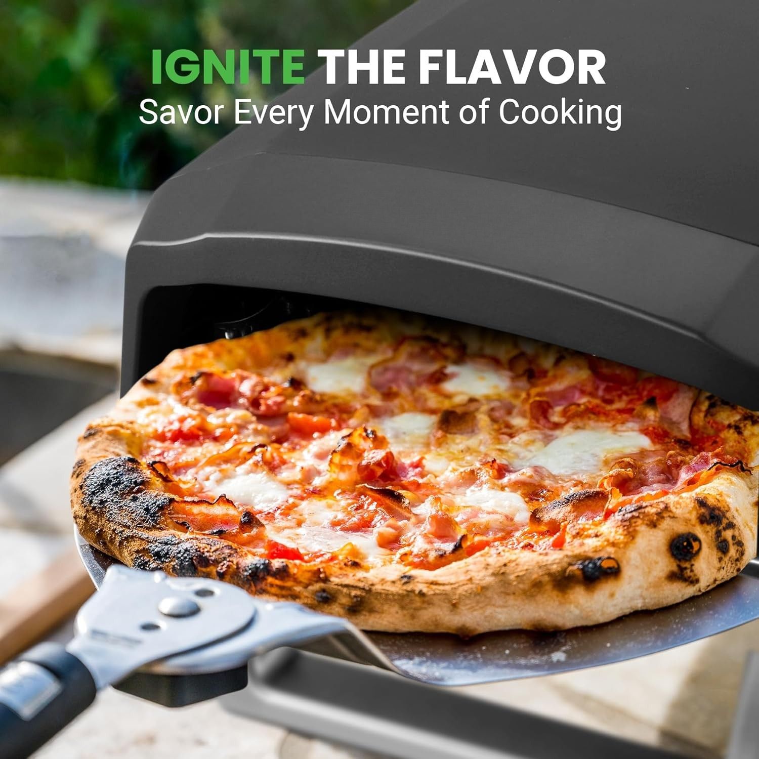 Outdoor Gas Pizza Oven: image 4